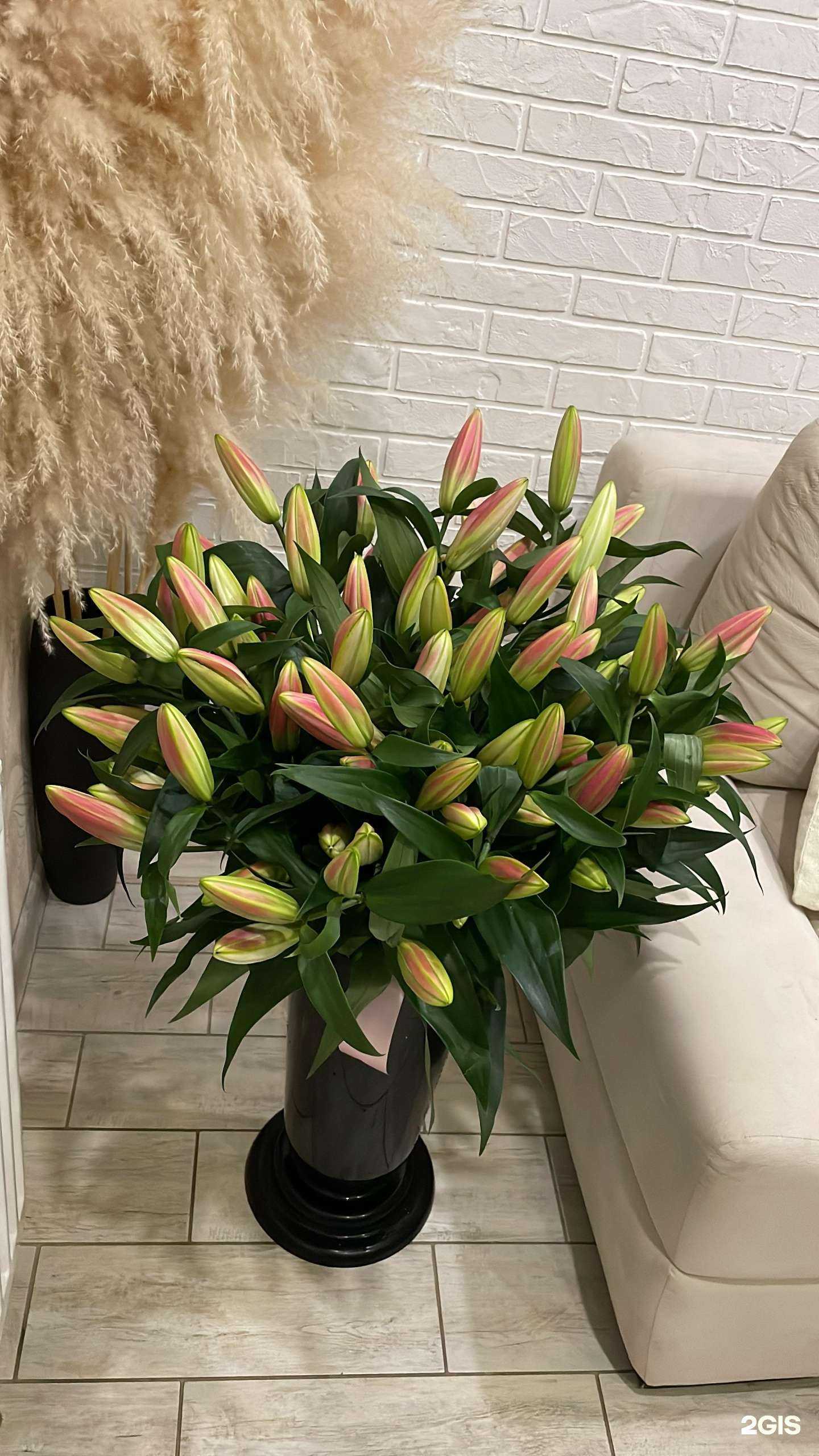 Отзывы на компанию Царь Цветов в Краснодаре c фото