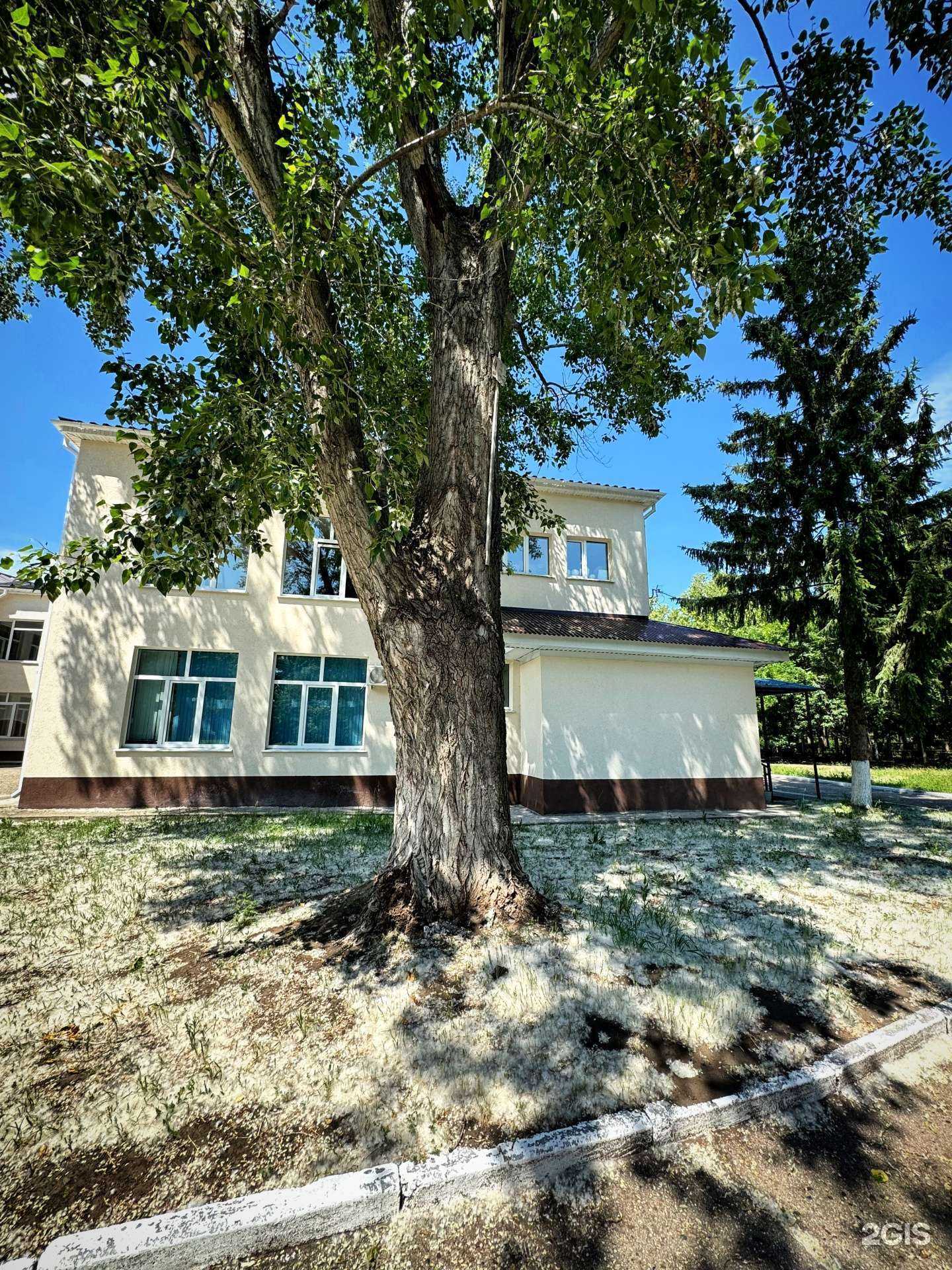 Отзывы на компанию Радент в Ульяновске c фото