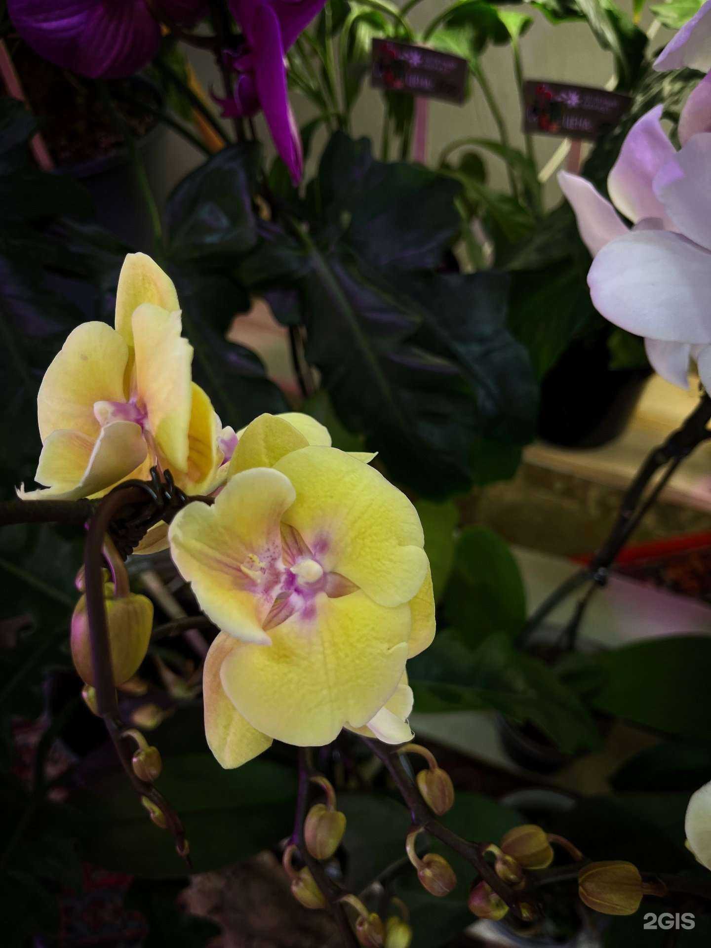 Отзывы на компанию Зеленый маркет в г. Магнитогорск c фото