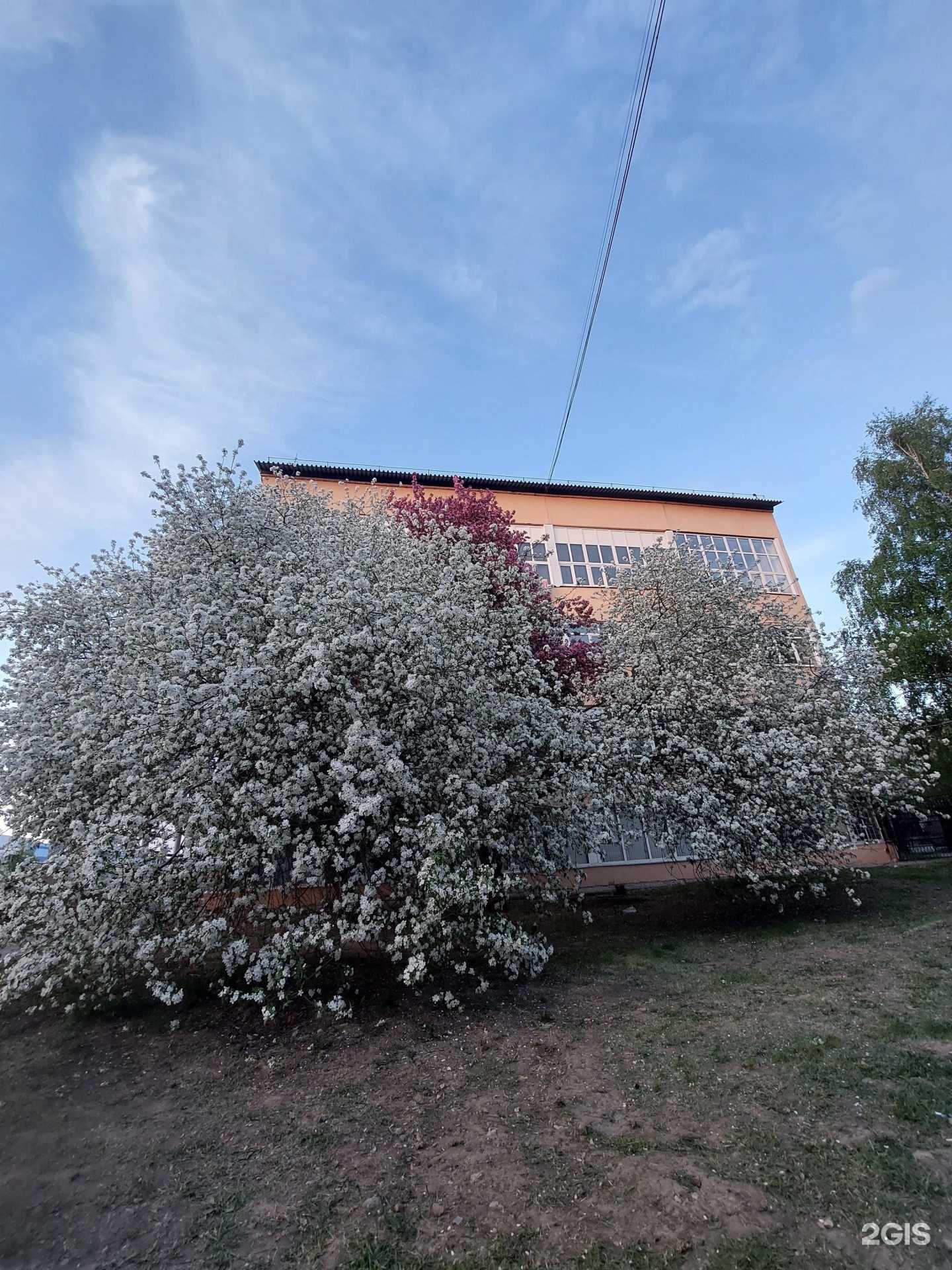 Отзывы на компанию Kedr Solutions в Барнауле c фото - фотография 2 из 2