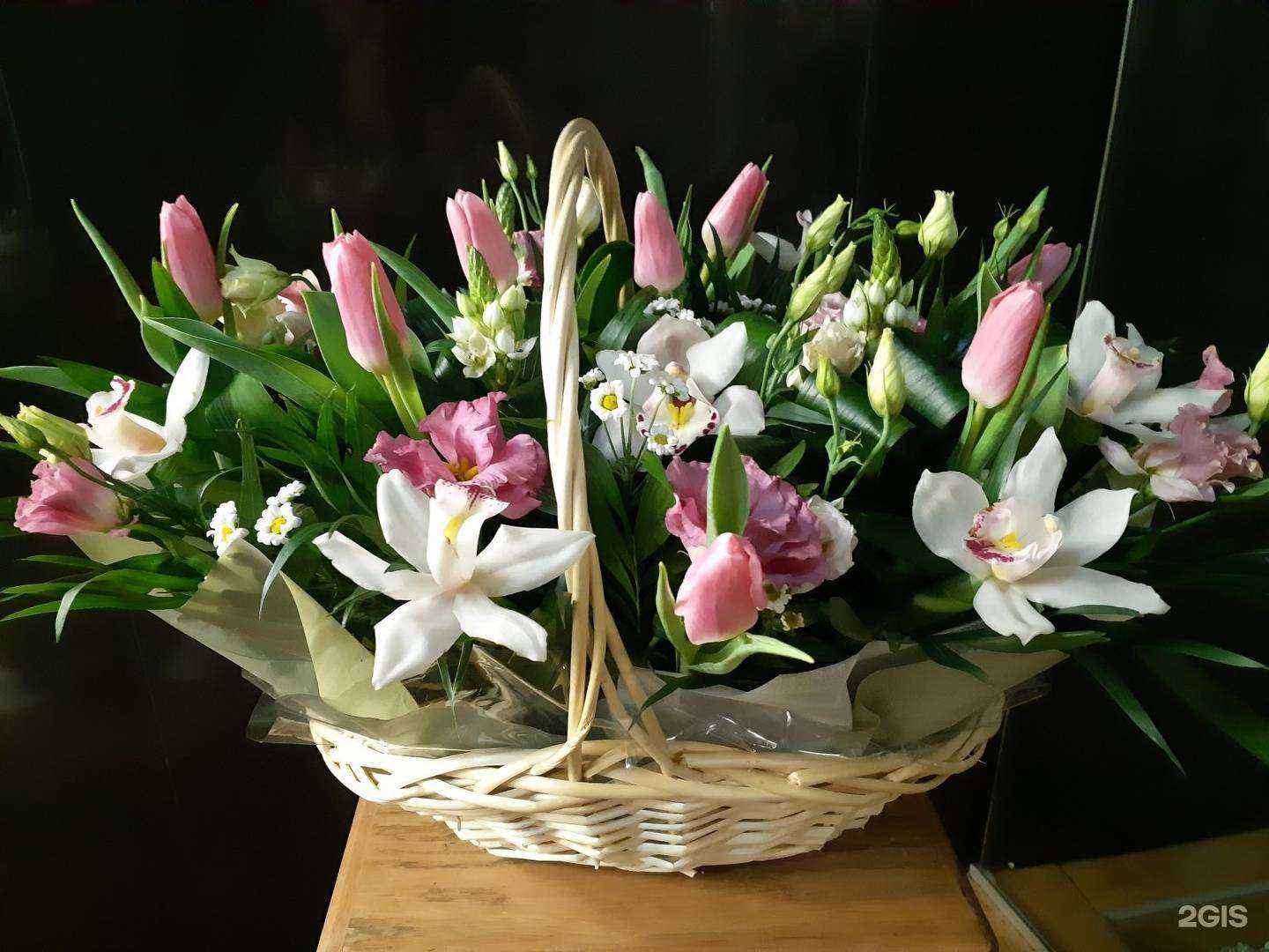 Отзывы на компанию Светлана в Калининграде c фото