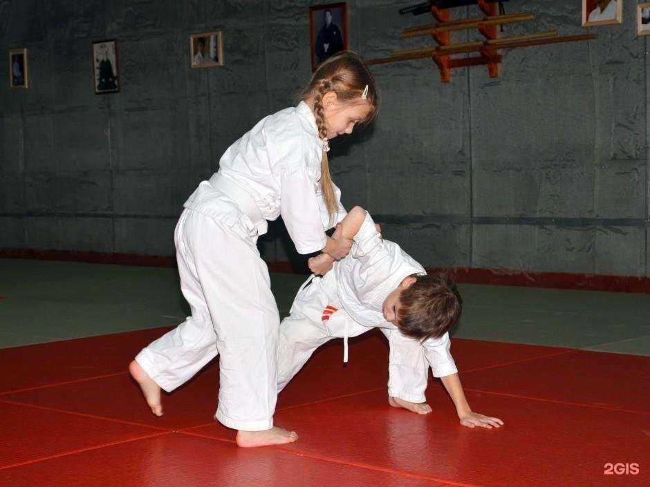 Отзывы на компанию Клуб Томики айкидо в г. Курск c фото