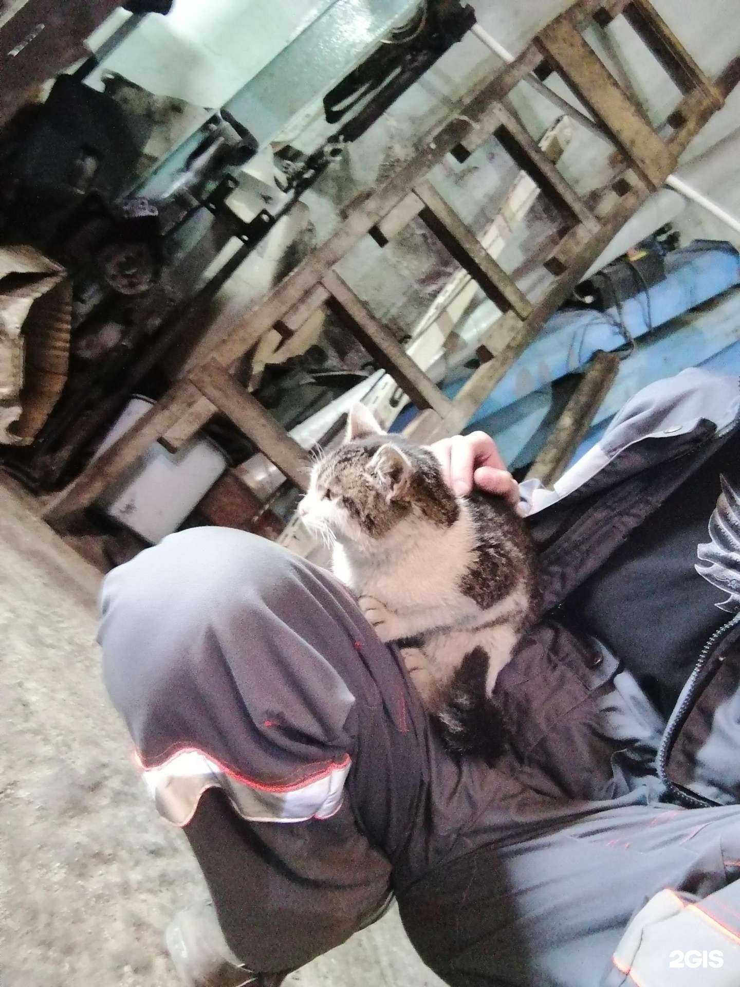 Отзывы на компанию 296 в Екатеринбурге c фото