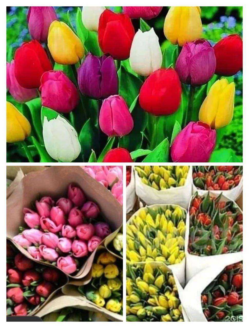 Отзывы на компанию Глория-букет в г. Новый Уренгой c фото