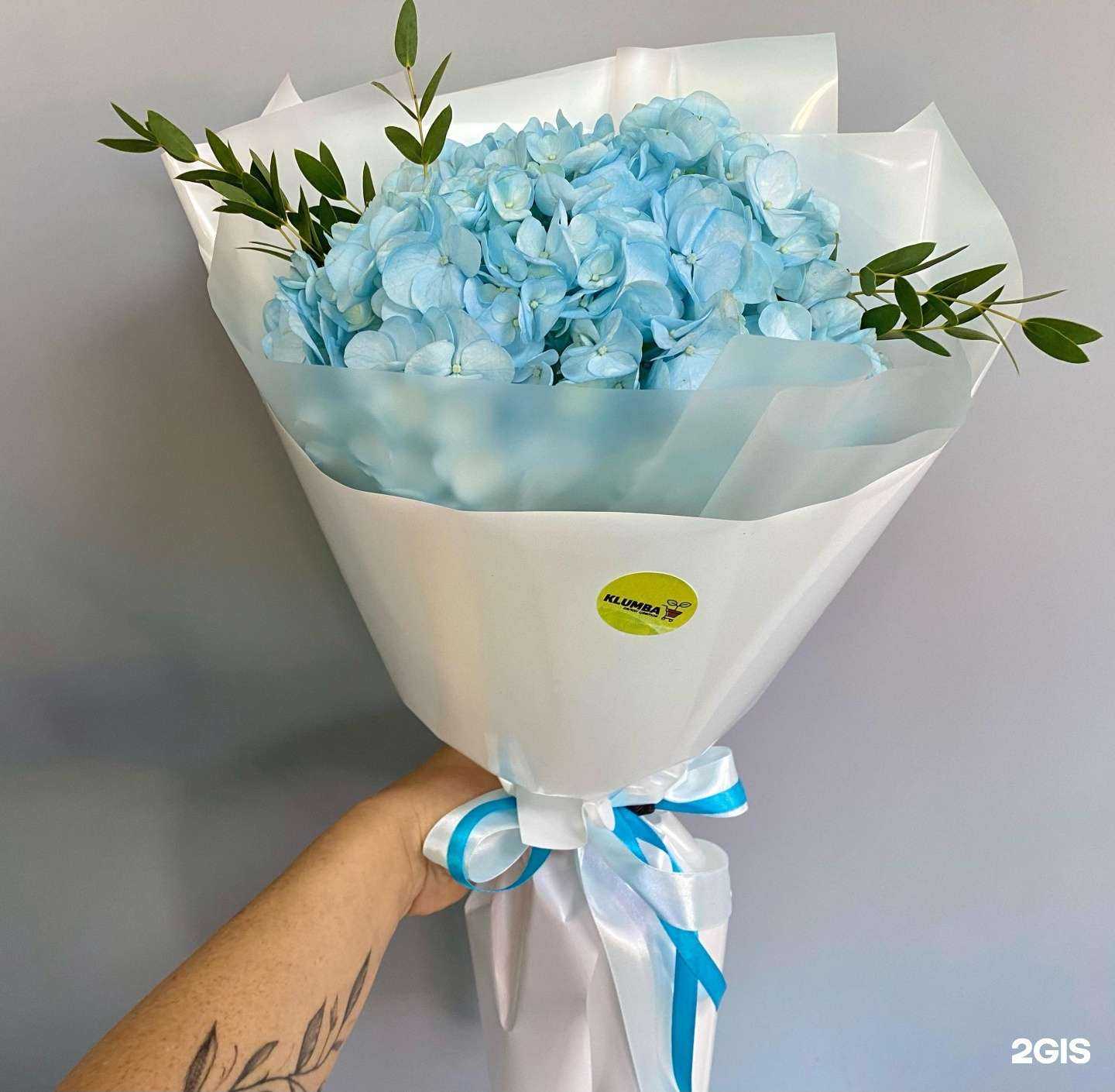 Отзывы на компанию Klumba в Орске c фото