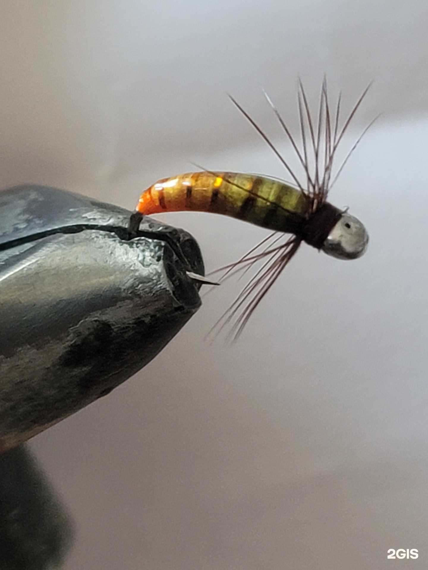 Отзывы на компанию SibNymph-Сибирская нимфа в г. Красноярск c фото