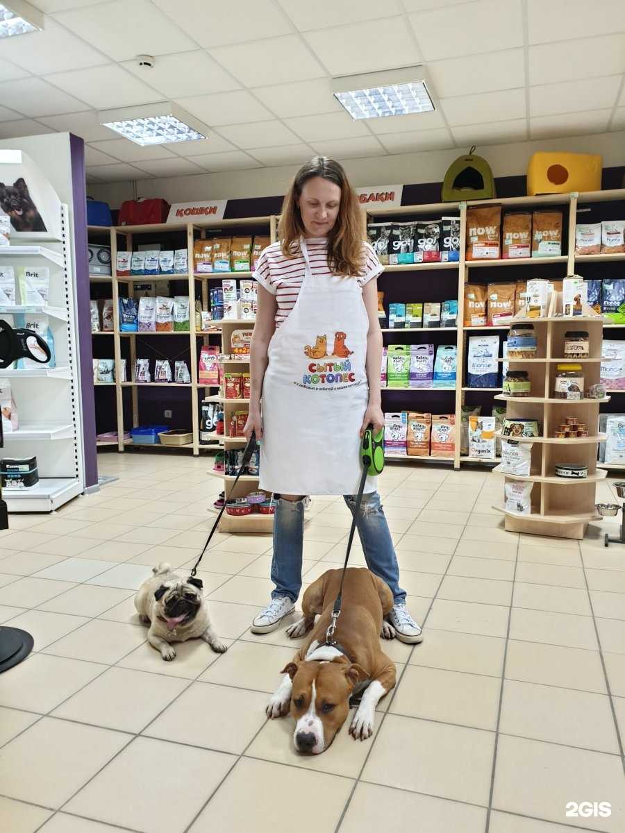 Отзывы на компанию Сытый котопёс в Нижнем Новгороде c фото