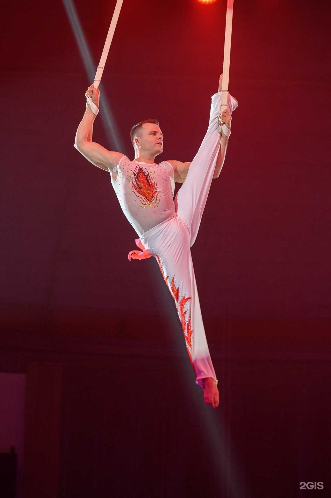 Отзывы на компанию Костромской государственный цирк в г. Кострома c фото