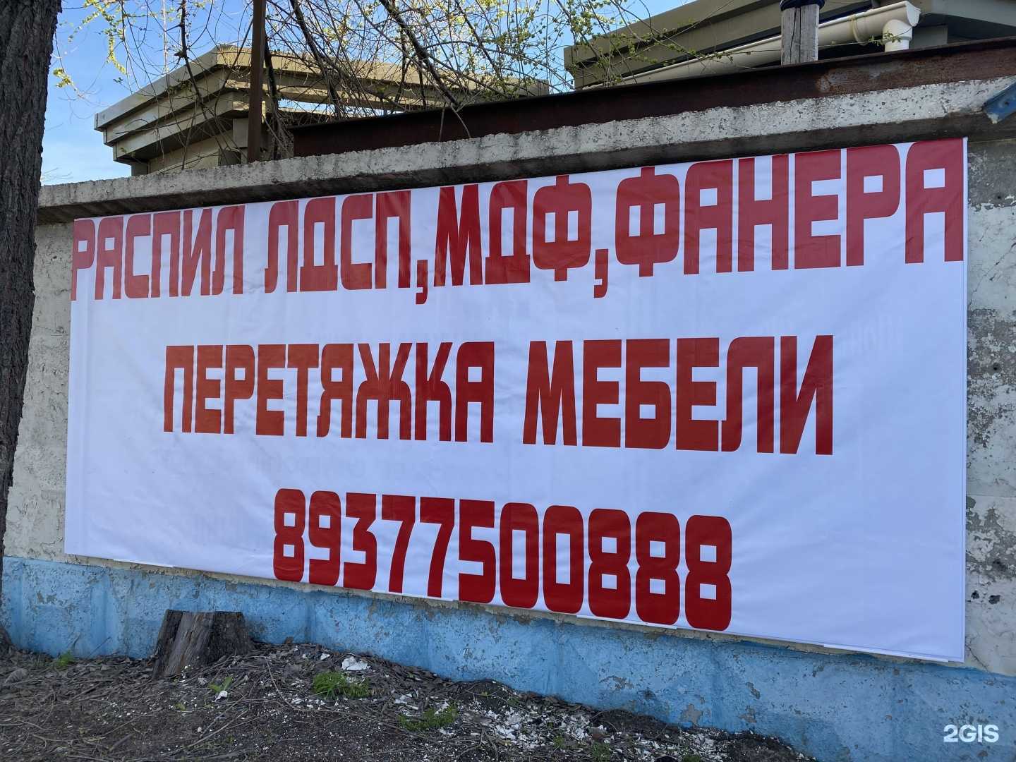 Отзывы на компанию Live Monkey в г. Волгоград c фото