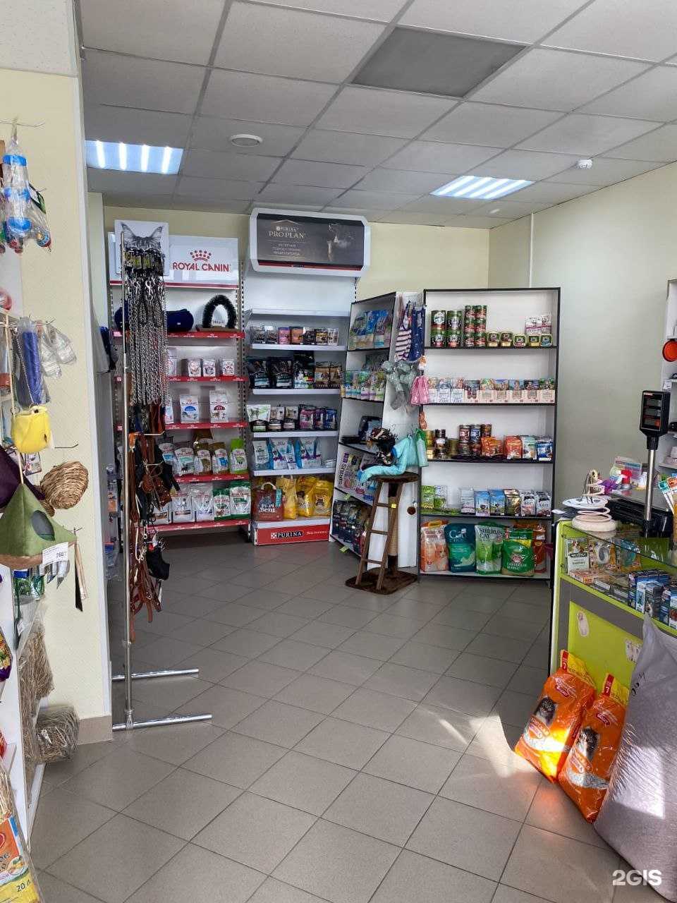 Отзывы на компанию ЛапУсики в Омске c фото