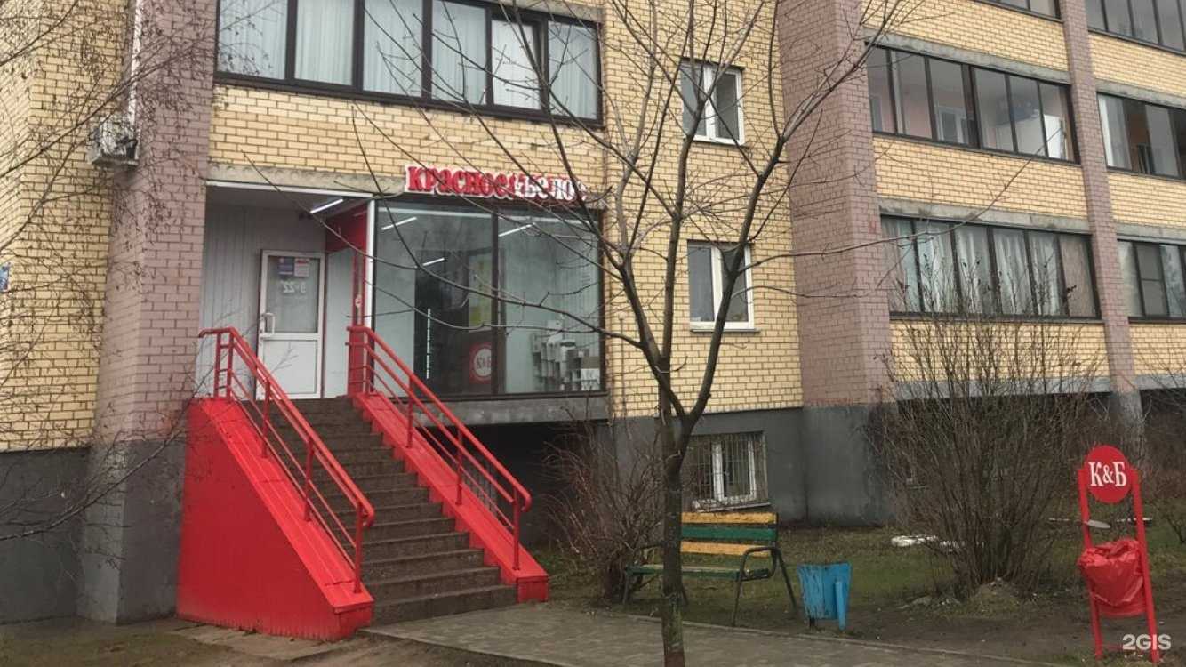 Отзывы на компанию Красивый пëс в Дубне c фото - фотография 2 из 2