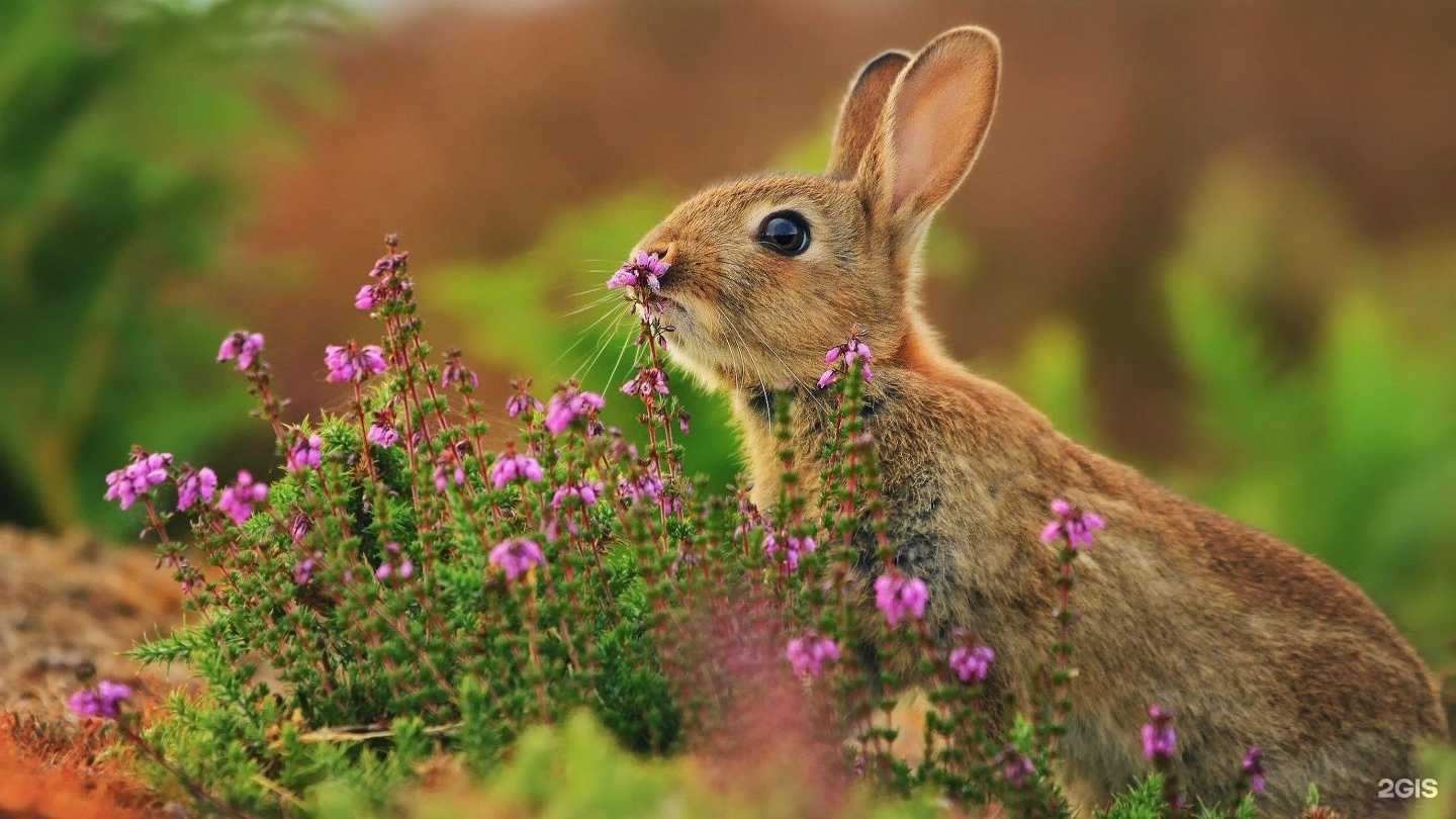 Отзывы на компанию Ромашка в Старом Осколе c фото