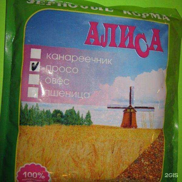 Отзывы на компанию Zoo-dv в Владивостоке c фото