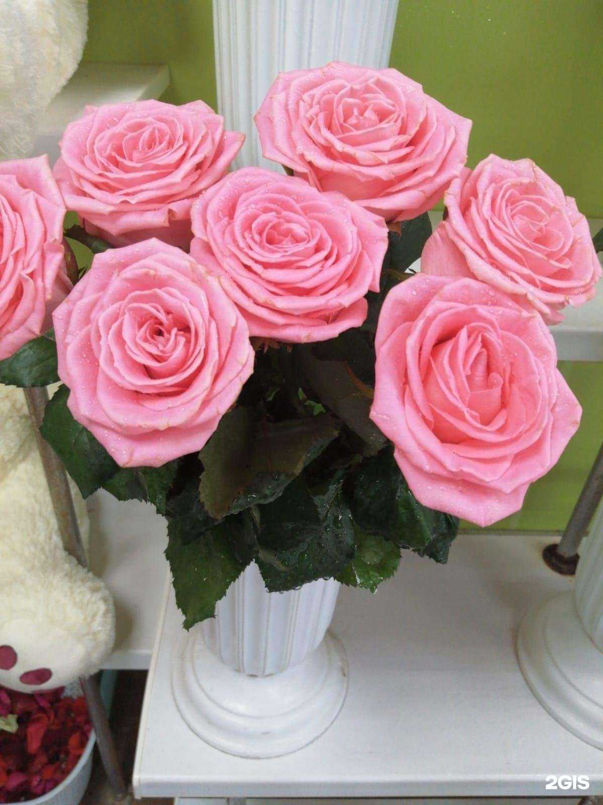 Отзывы на компанию Магазин цветов в Новосибирске c фото
