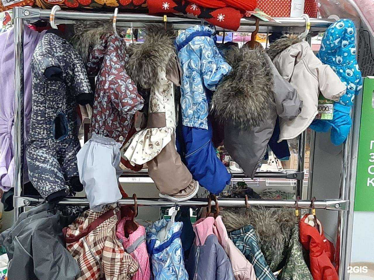 Отзывы на компанию Кошки-мышки в Липецке c фото