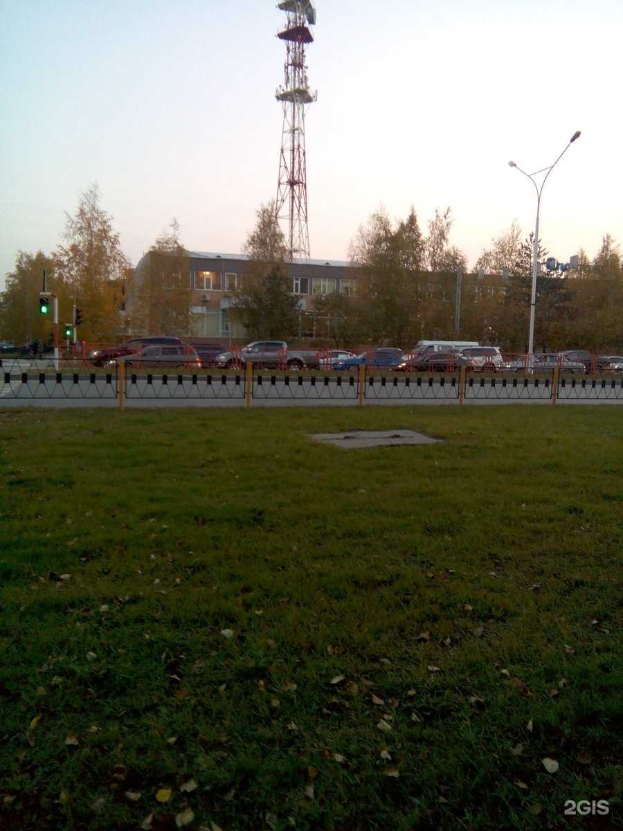 Отзывы на компанию Роза в Нижневартовске c фото - фотография 2 из 2