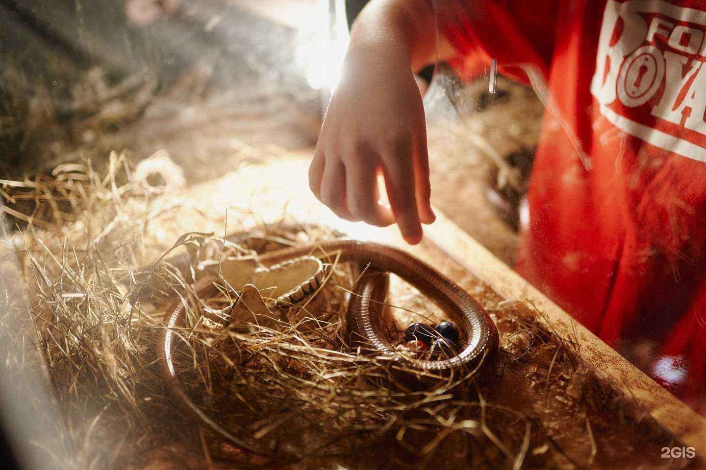 Отзывы на компанию Форт Боярд в г. Хабаровск c фото