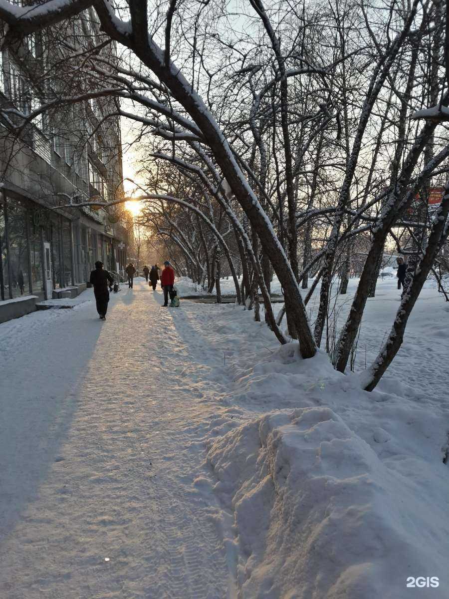 Отзывы на компанию INVITRO в Новосибирске c фото - фотография 2 из 2