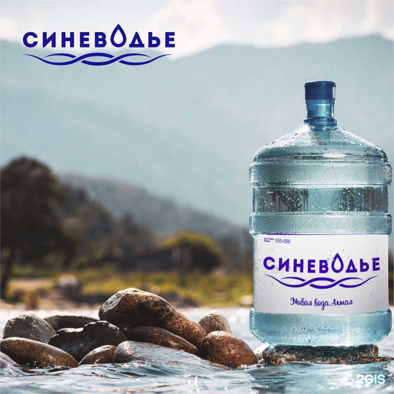 Отзывы на компанию Синеводье в Барнауле c фото