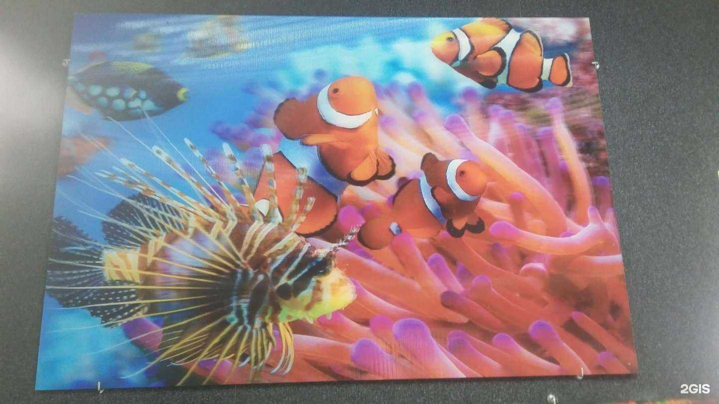 Отзывы на компанию Империя потолков в г. Калининград c фото