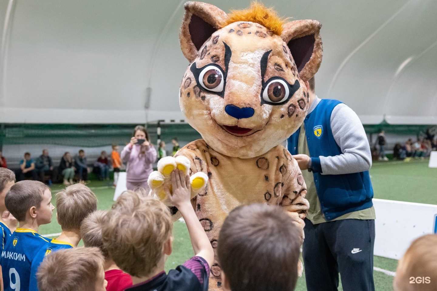 Отзывы на компанию Юниор в г. Красноярск c фото