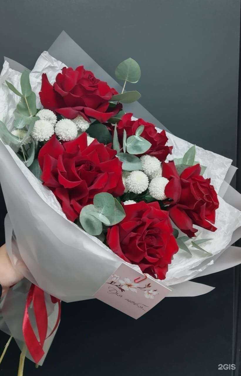 Отзывы на компанию Жасмин в Новосибирске c фото