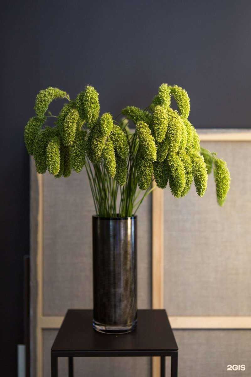 Отзывы на компанию Dizmag в г. Тюмень c фото