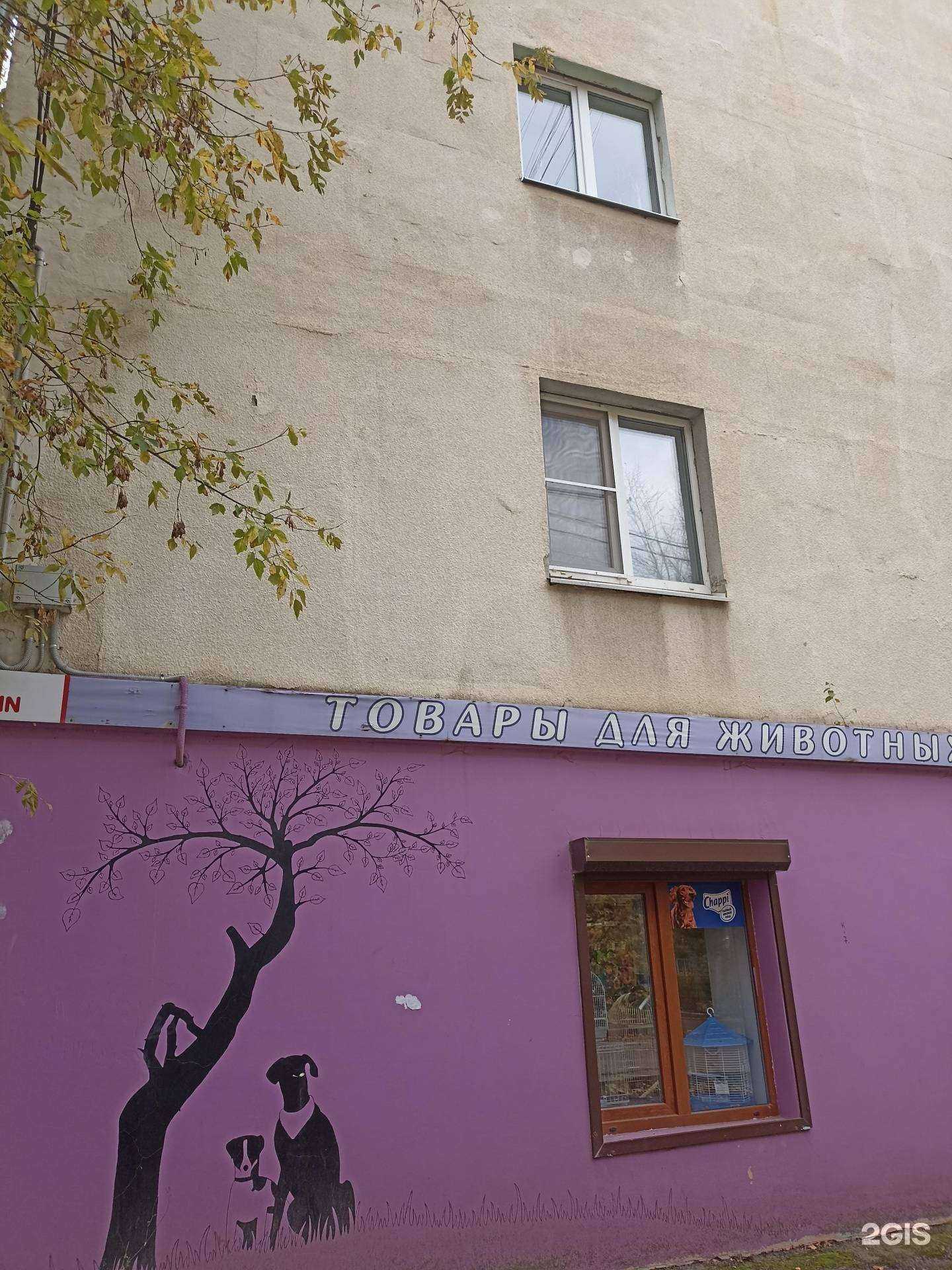 Отзывы на компанию Зоомафия в Калуге c фото - фотография 2 из 2