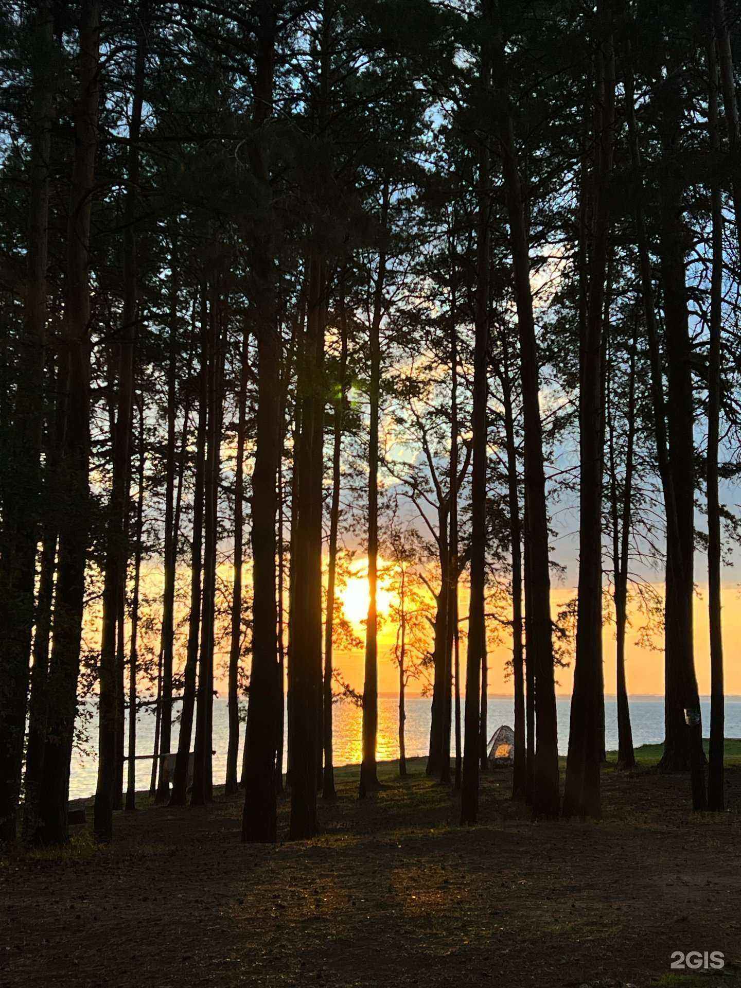 Отзывы на компанию Юность в Бердске c фото