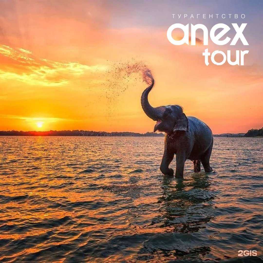 Отзывы на компанию Anex в Краснодаре c фото