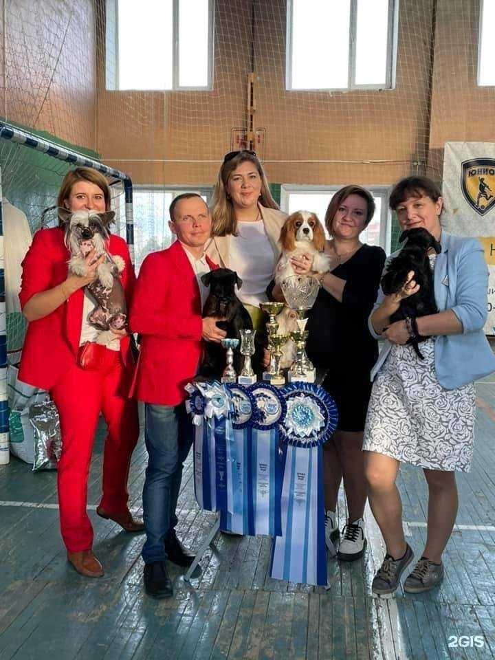 Отзывы на компанию Бэст в Брянске c фото