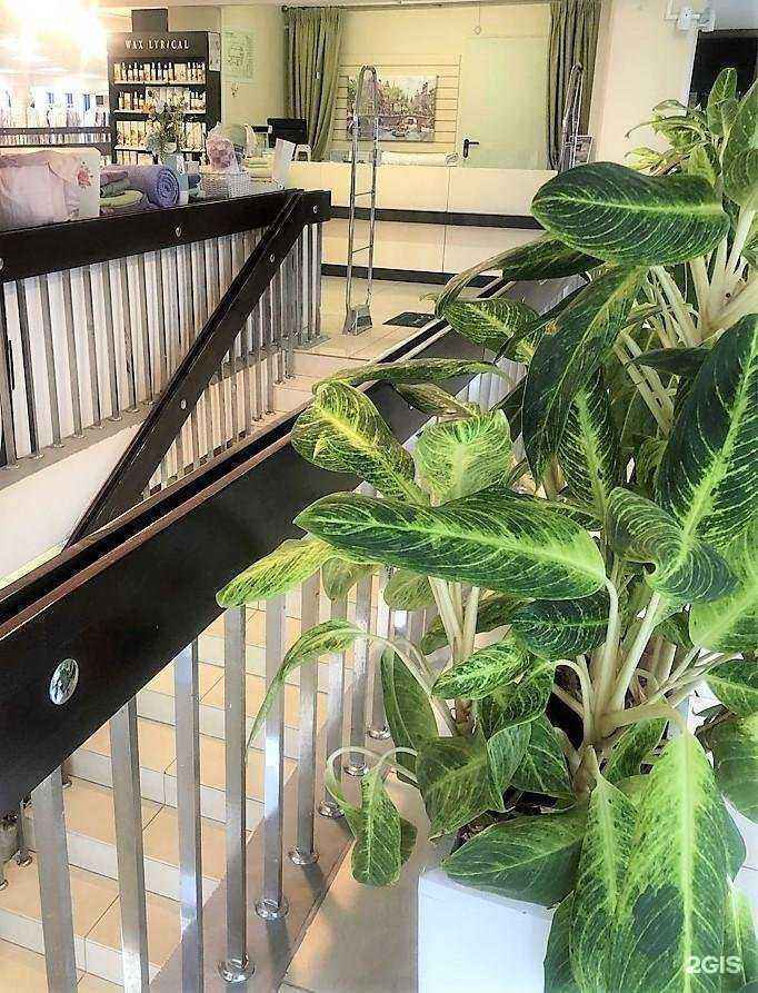 Отзывы на компанию Togas в г. Тверь c фото