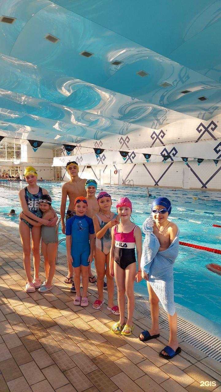 Отзывы на компанию Дельфин в Сочи c фото