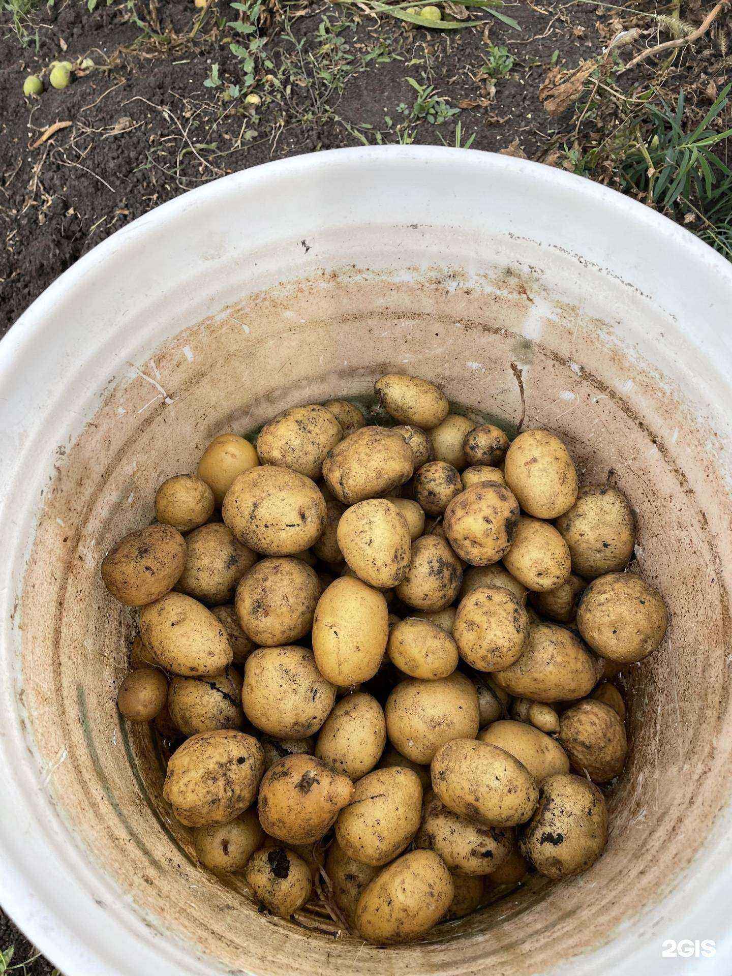 Отзывы на компанию Липецкий магазин Природа в г. Липецк c фото