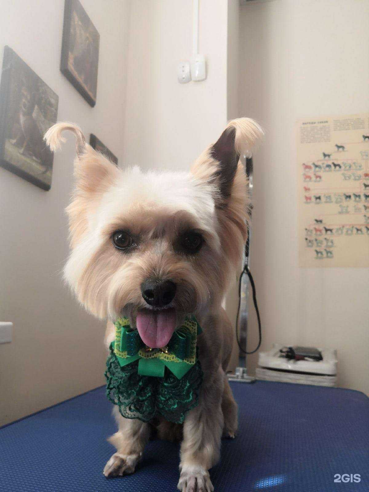 Отзывы на компанию Бор Босс в Боре c фото