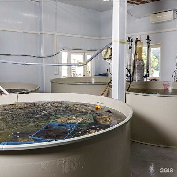 Отзывы на компанию Море вкусно в Артёме c фото