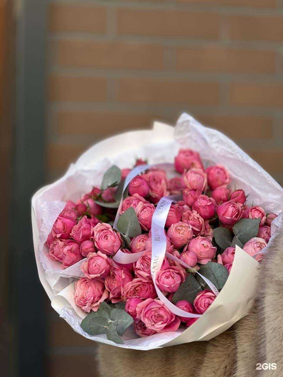 Отзывы на компанию Bloom в Астрахани c фото