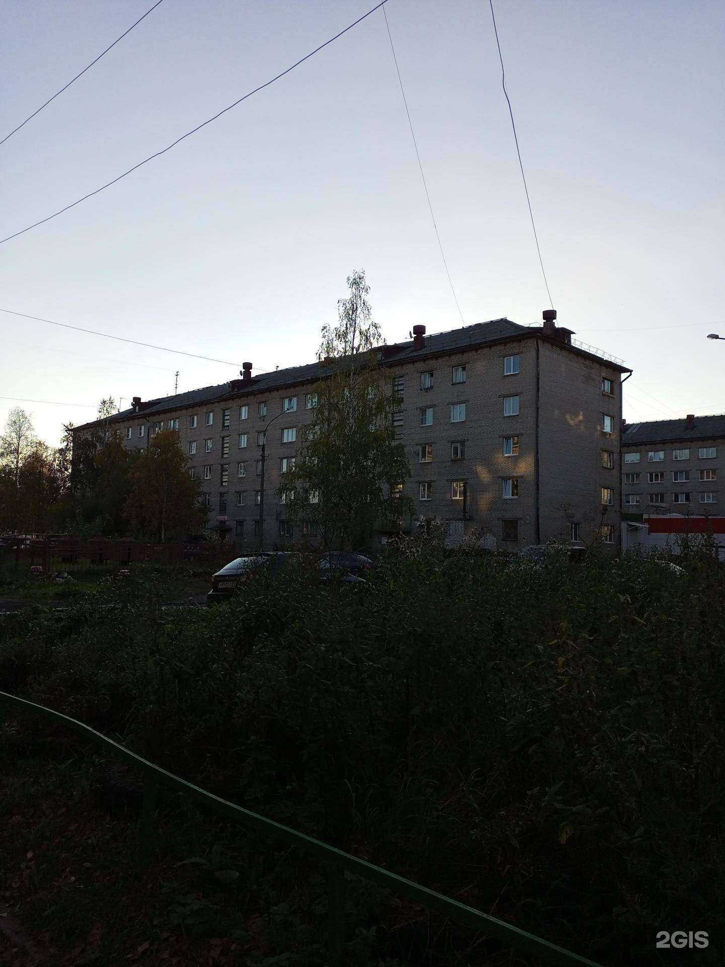 Отзывы на компанию Moroshka в Архангельске c фото - фотография 2 из 2