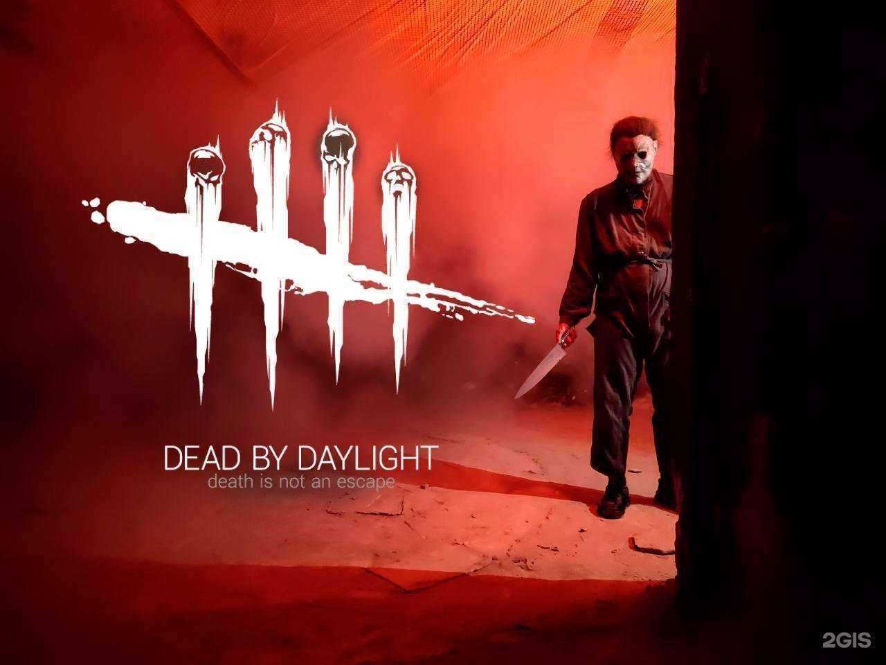 Отзывы на компанию Quest X в г. Ростов-на-Дону c фото