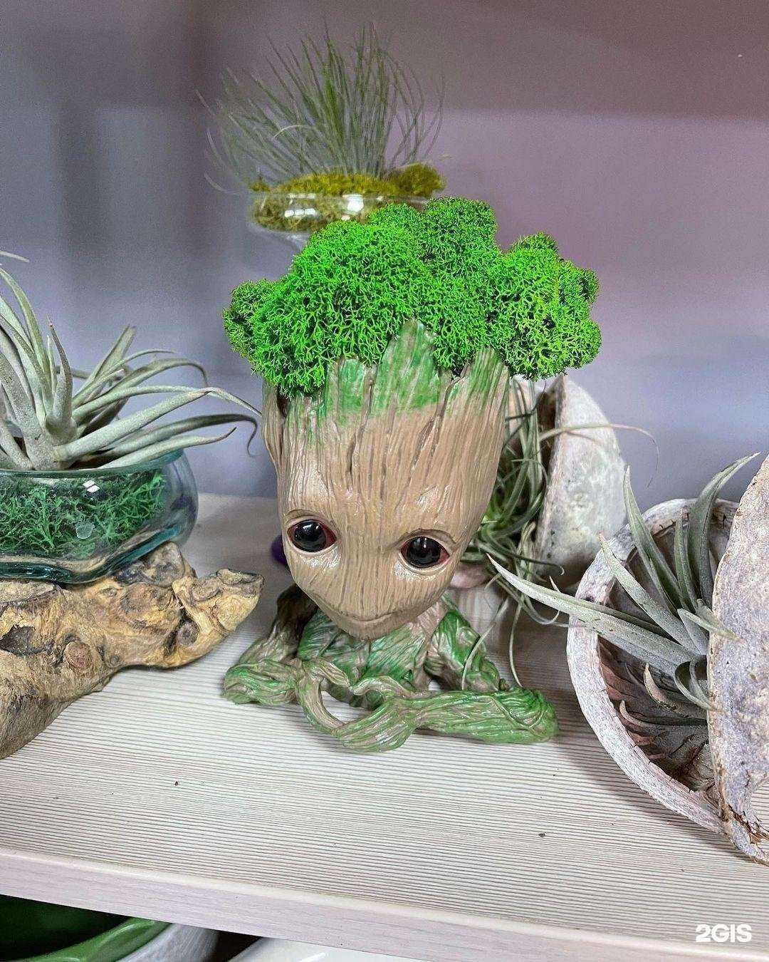 Отзывы на компанию Флоранс в г. Батайск c фото