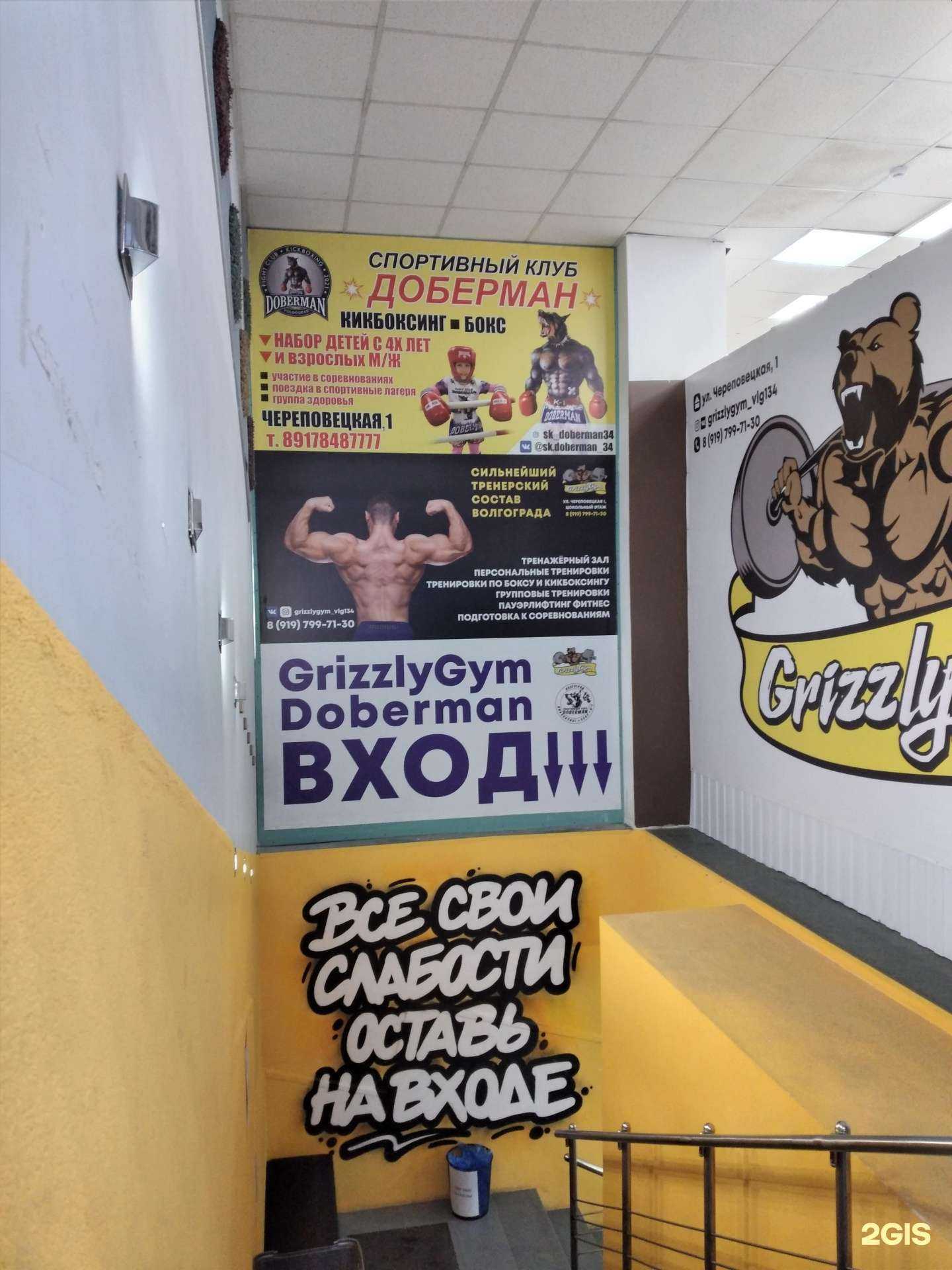 Отзывы на компанию Доберман в Волгограде c фото