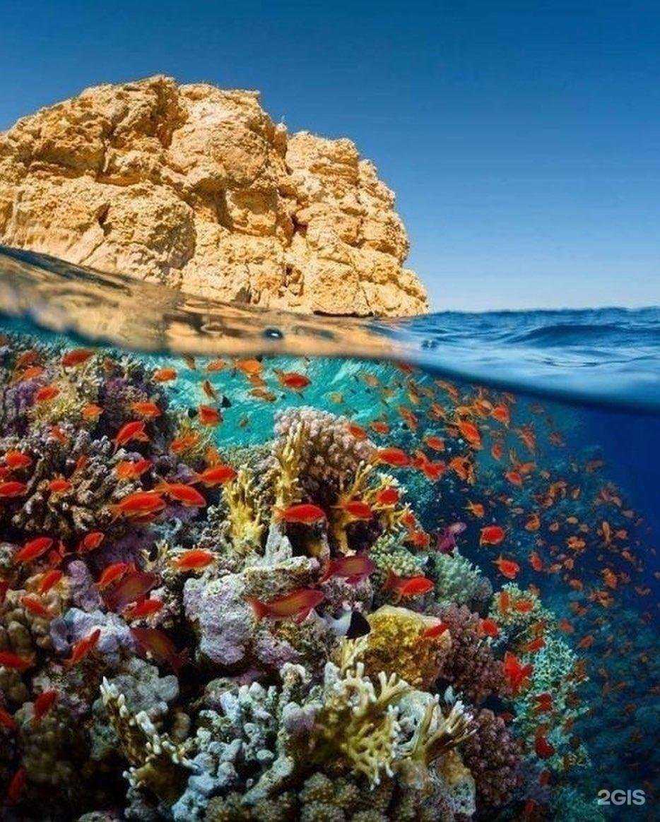 Отзывы на компанию Росинтур в Ростове-на-Дону c фото