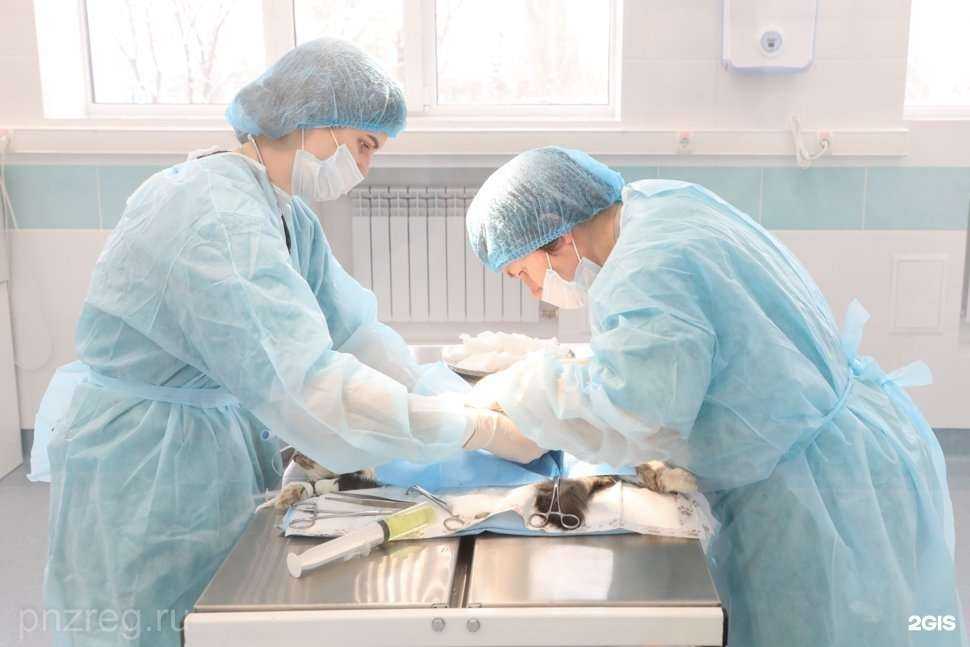 Отзывы на компанию Пензенский государственный аграрный университет в г. Пенза c фото