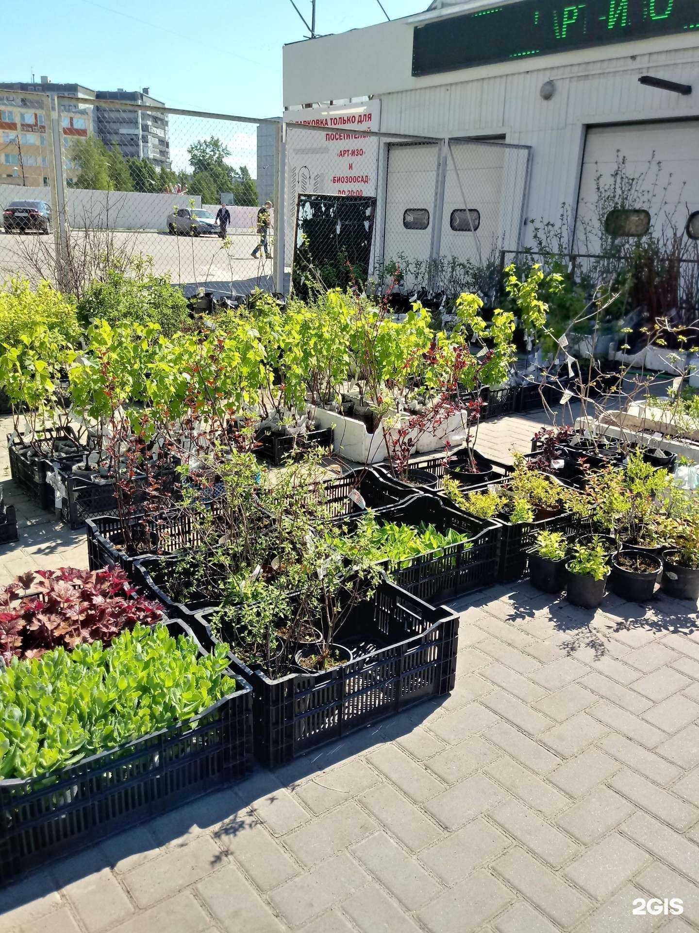 Отзывы на компанию Биозоосад в Архангельске c фото - фотография 2 из 2