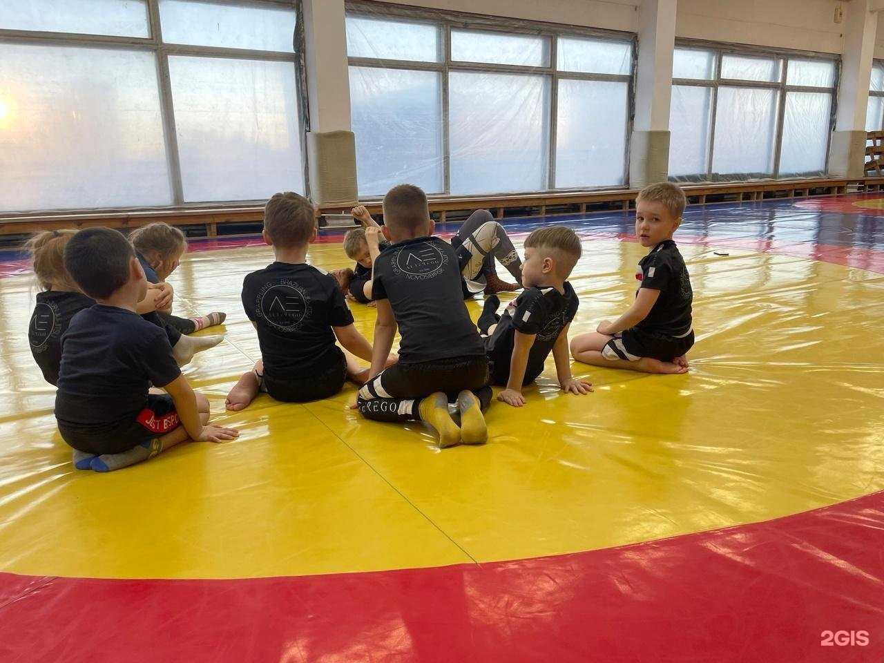 Отзывы на компанию Alterego jiu-jitsu academy в г. Новосибирск c фото