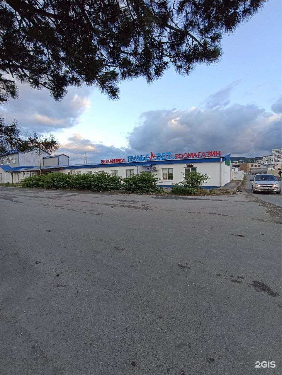 Отзывы на компанию ПульсВет в г. Новороссийск c фото