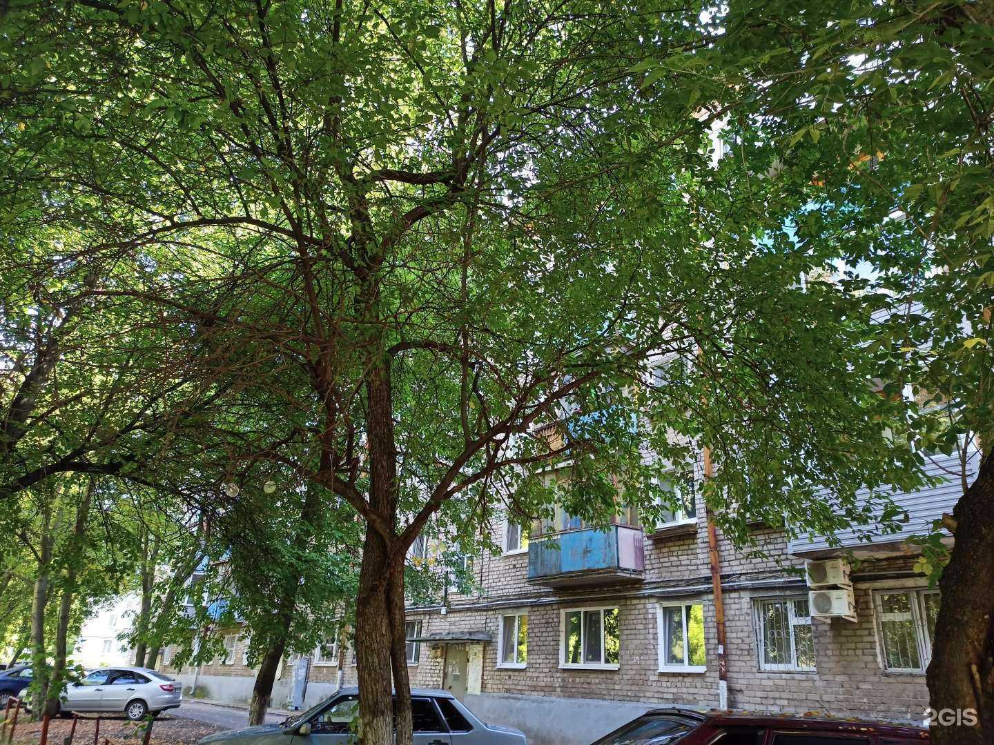 Отзывы на компанию EL NEO в Перми c фото - фотография 2 из 2