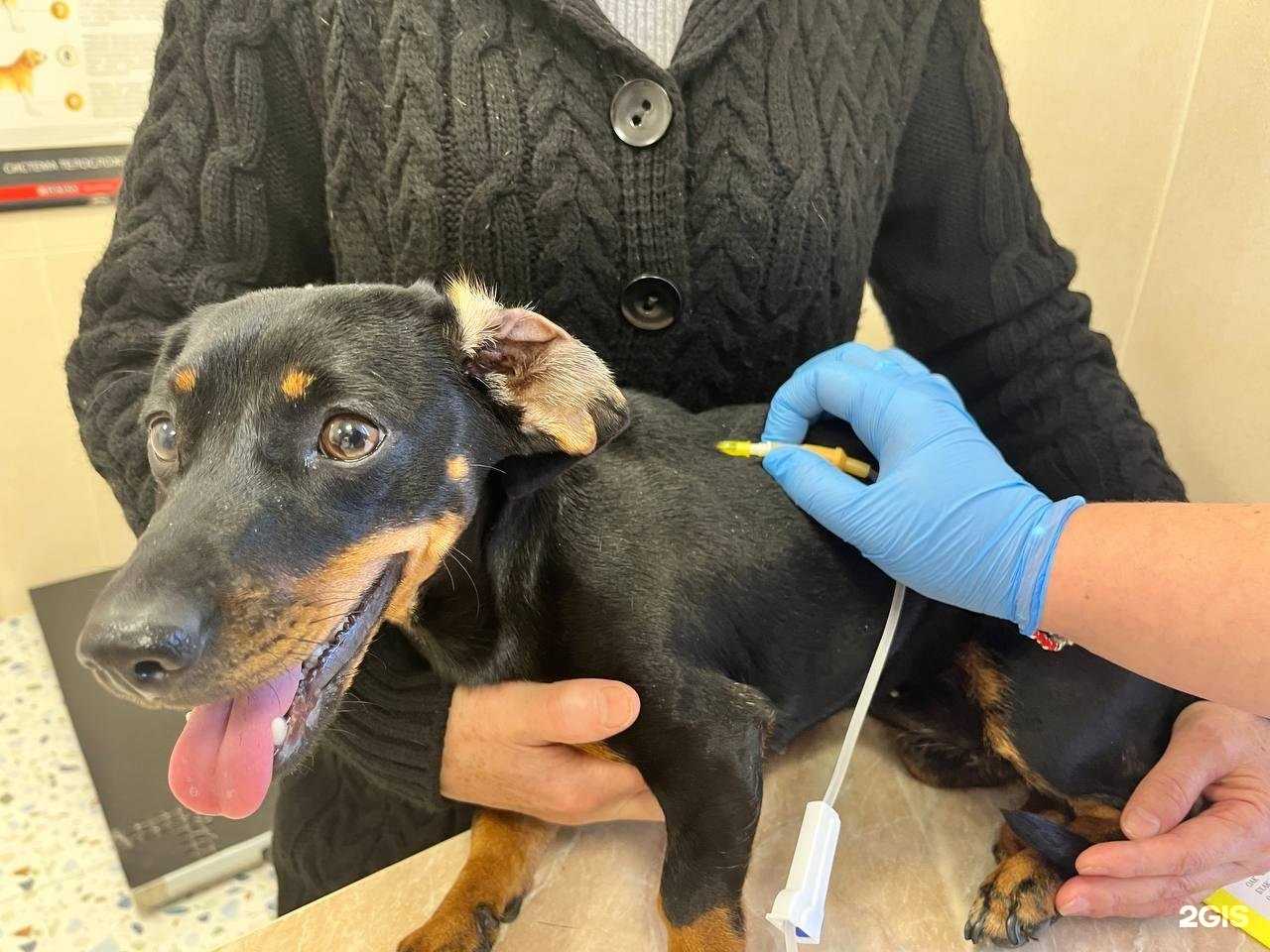 Отзывы на компанию Дар в г. Краснодар c фото