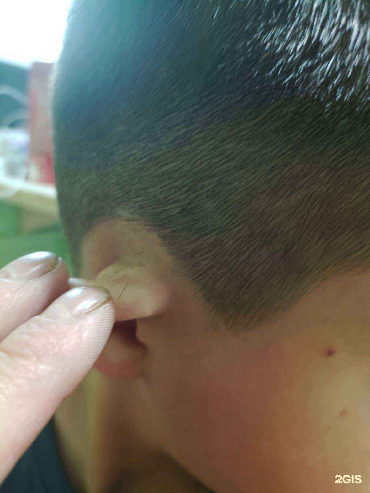 Отзывы на компанию Тут Стригут в Вологде c фото