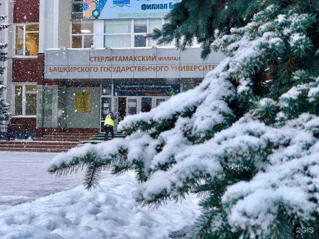 Отзывы на компанию Уфимский университет науки и технологий в г. Стерлитамак c фото